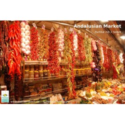 Andalusian Market